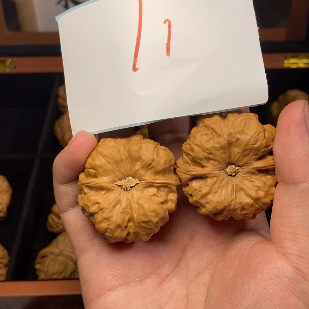 橄榄核把件木禾文玩蛤蟆头