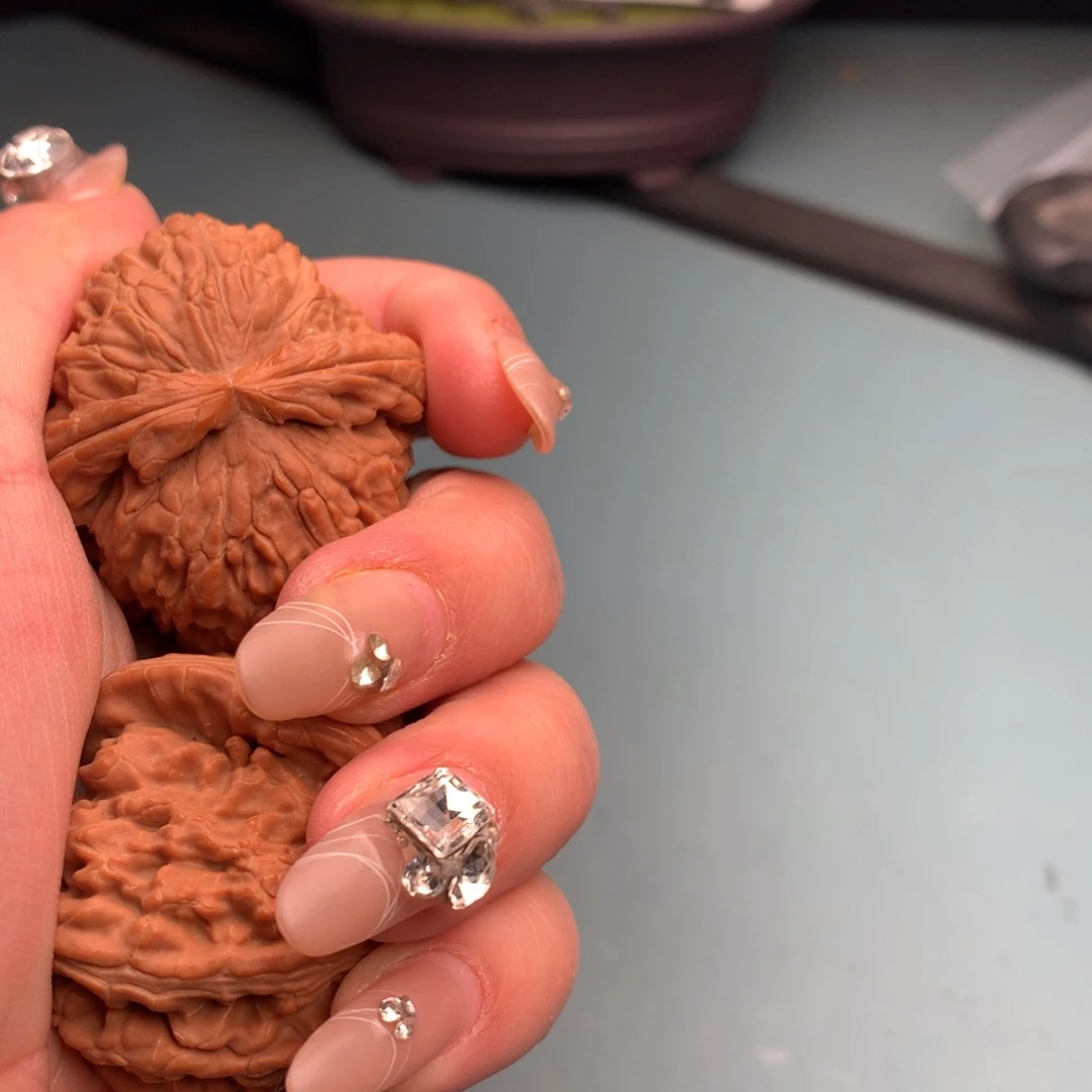 文玩核桃把件白狮子4445