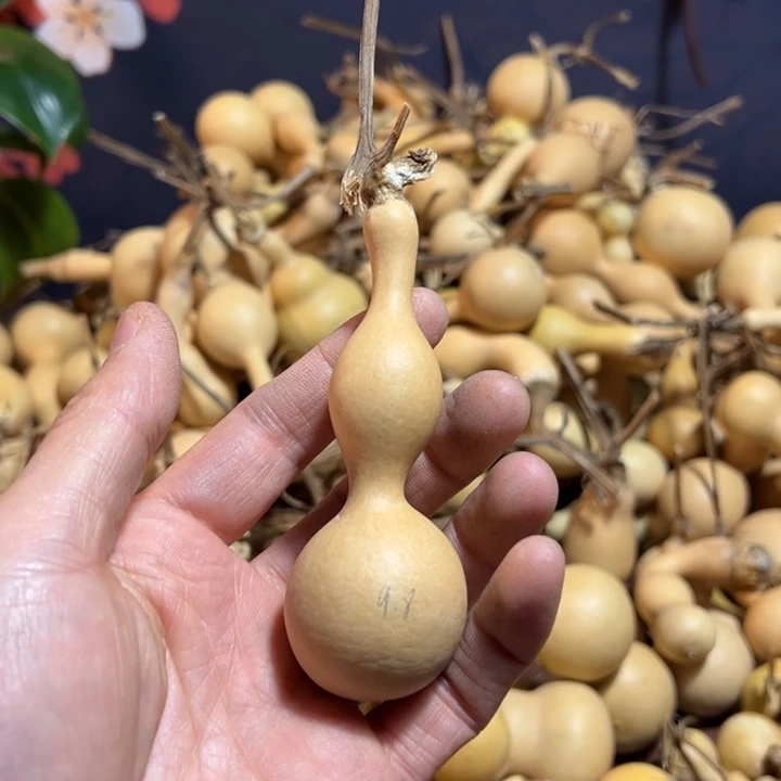 潮***司11111111111111111