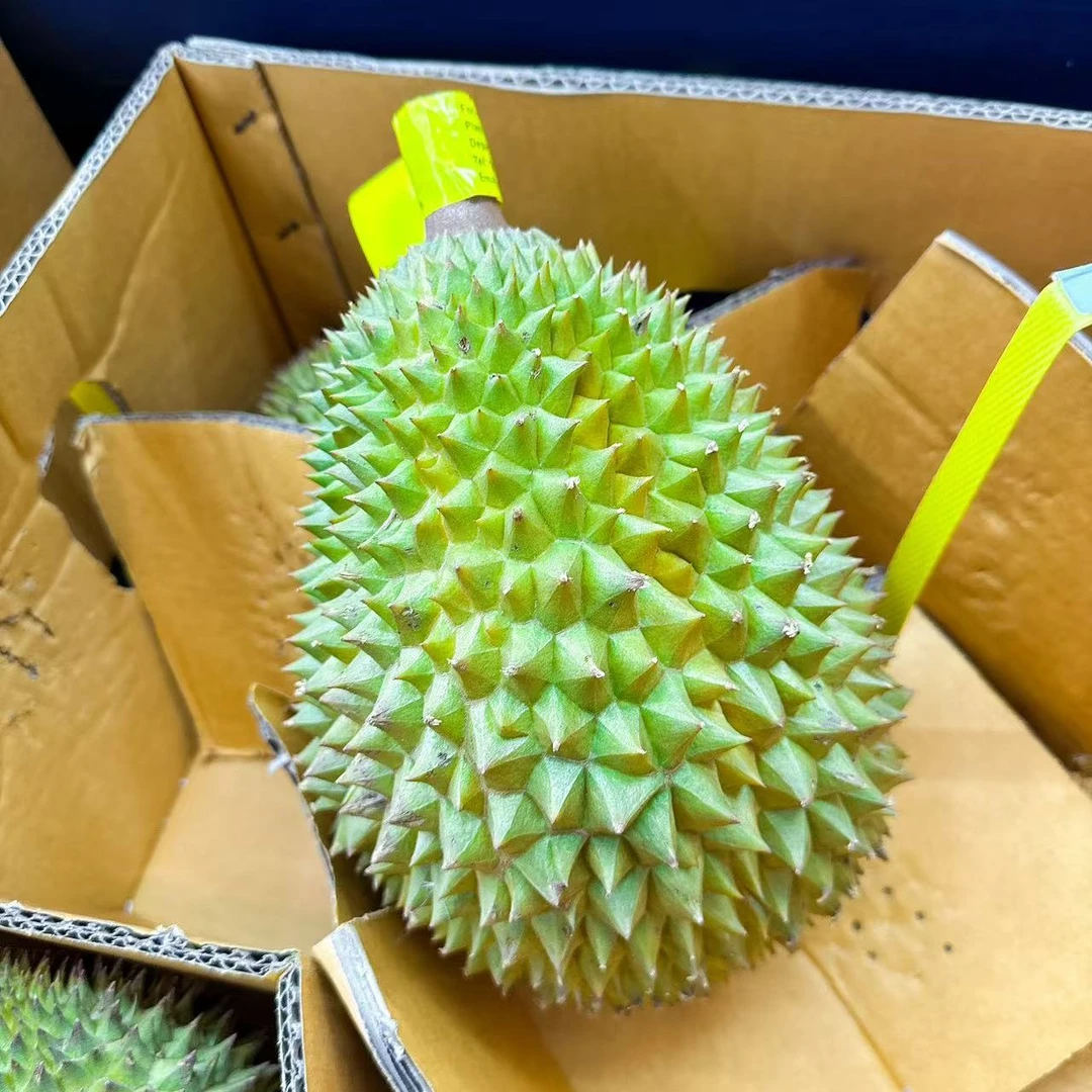 托曼尼鲜榴莲 整果3.5-3.9斤 核大产地直发泰国直供新鲜好吃托曼尼泰国