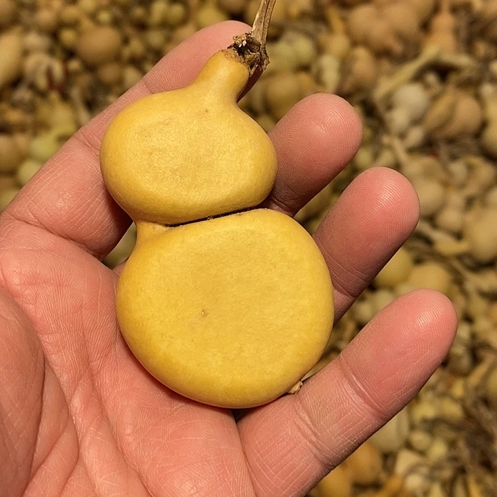 爱*惠精品葫芦手把葫芦5