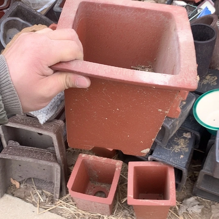 紫砂淘宝的朋友也要抓紧