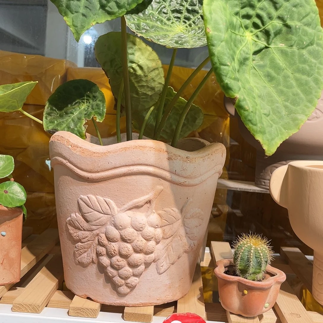 红陶19×18(1个手工)