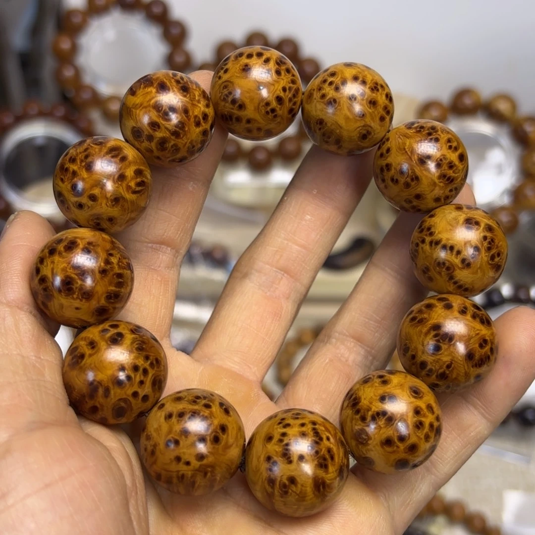 柏木（崖柏）太行崖柏2.0黄金雀眼