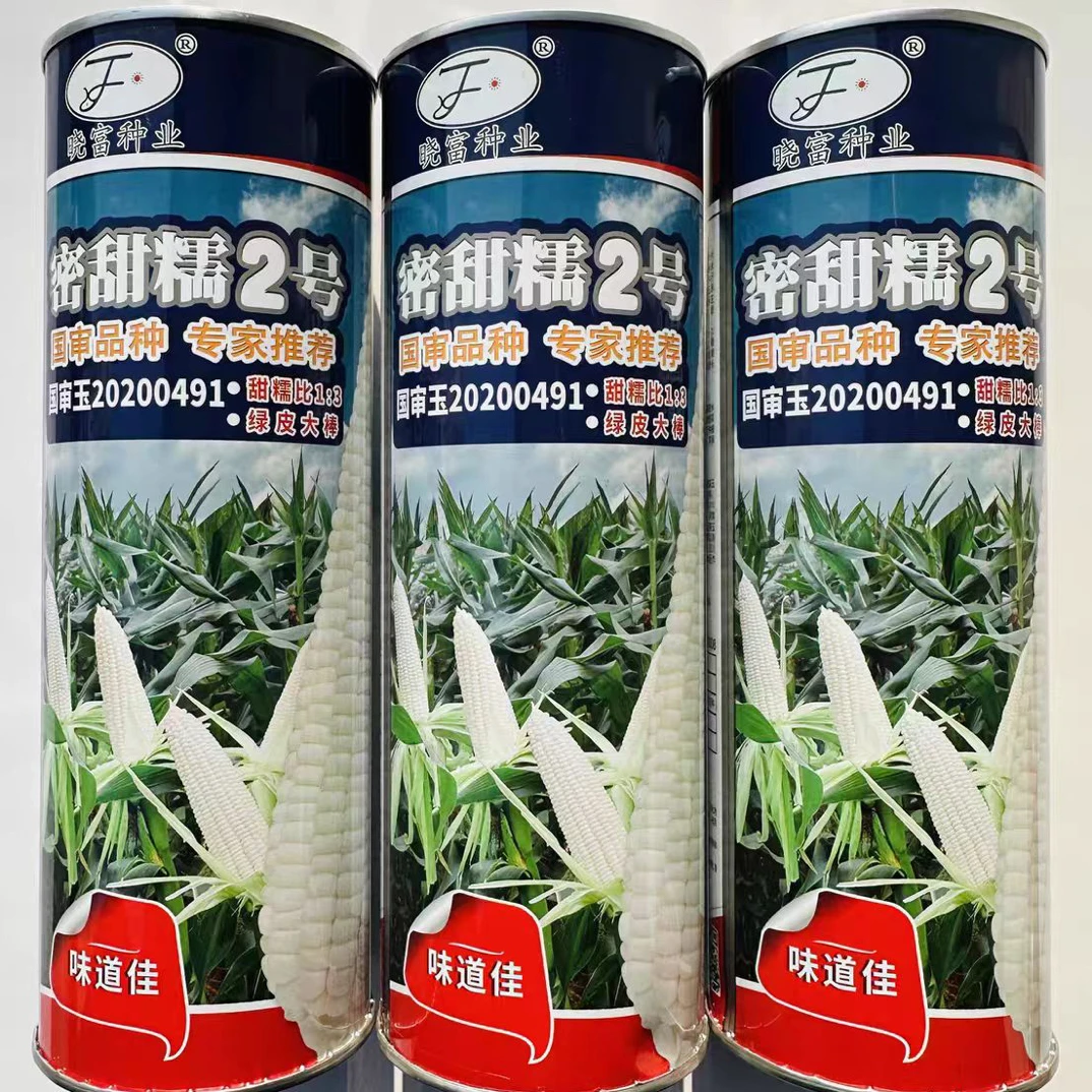密甜糯2号玉米种子白色甜糯玉米种籽绿皮大棒鲜食糯玉米种子优质