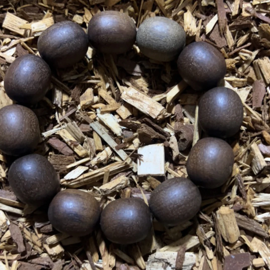 沉香1 福来精选高端文玩18mm