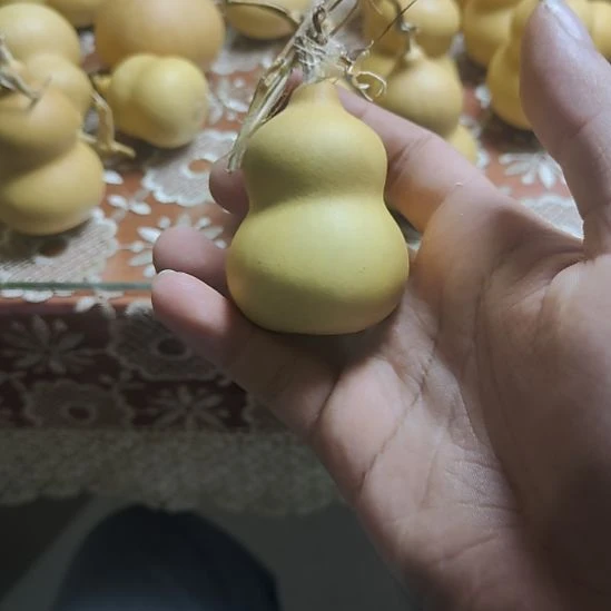 胖***达精品葫芦精品葫芦