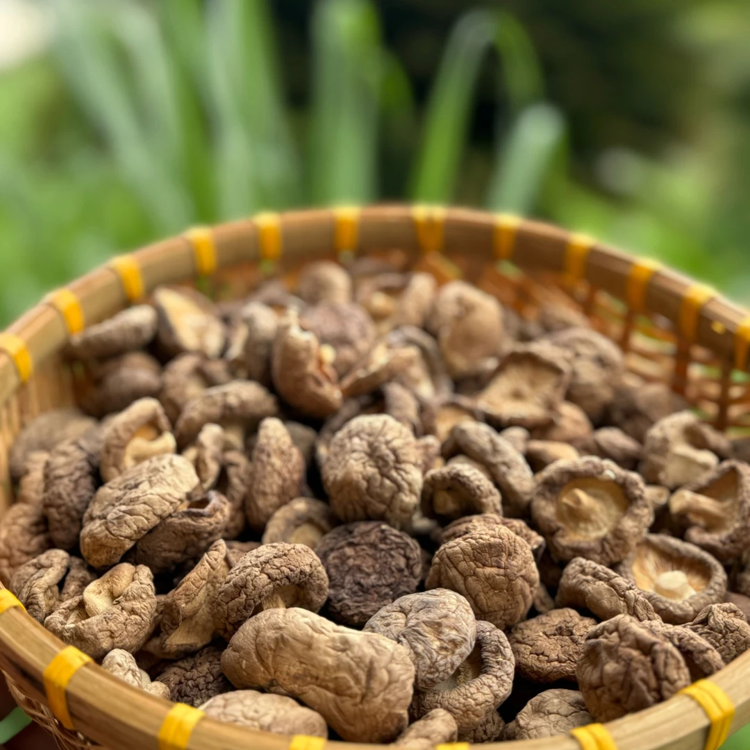 【滔支书甄选】（石门香菇）精选香菇干货农家香菇圆润厚实饱满