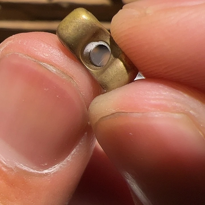 香榧木你是不是也