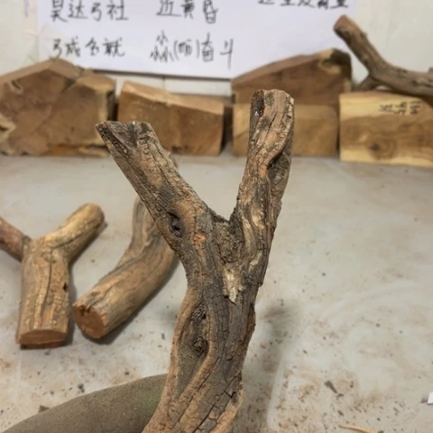 大果紫檀（缅甸花梨）尛*斗