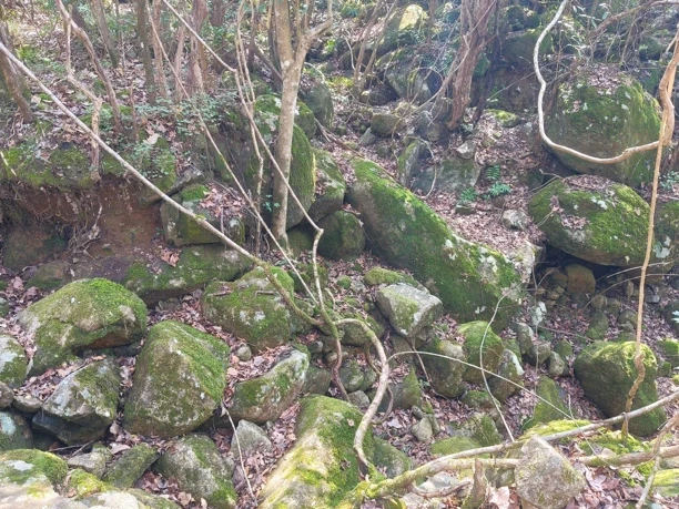 原生态野山石打造高端园林景观场地直发