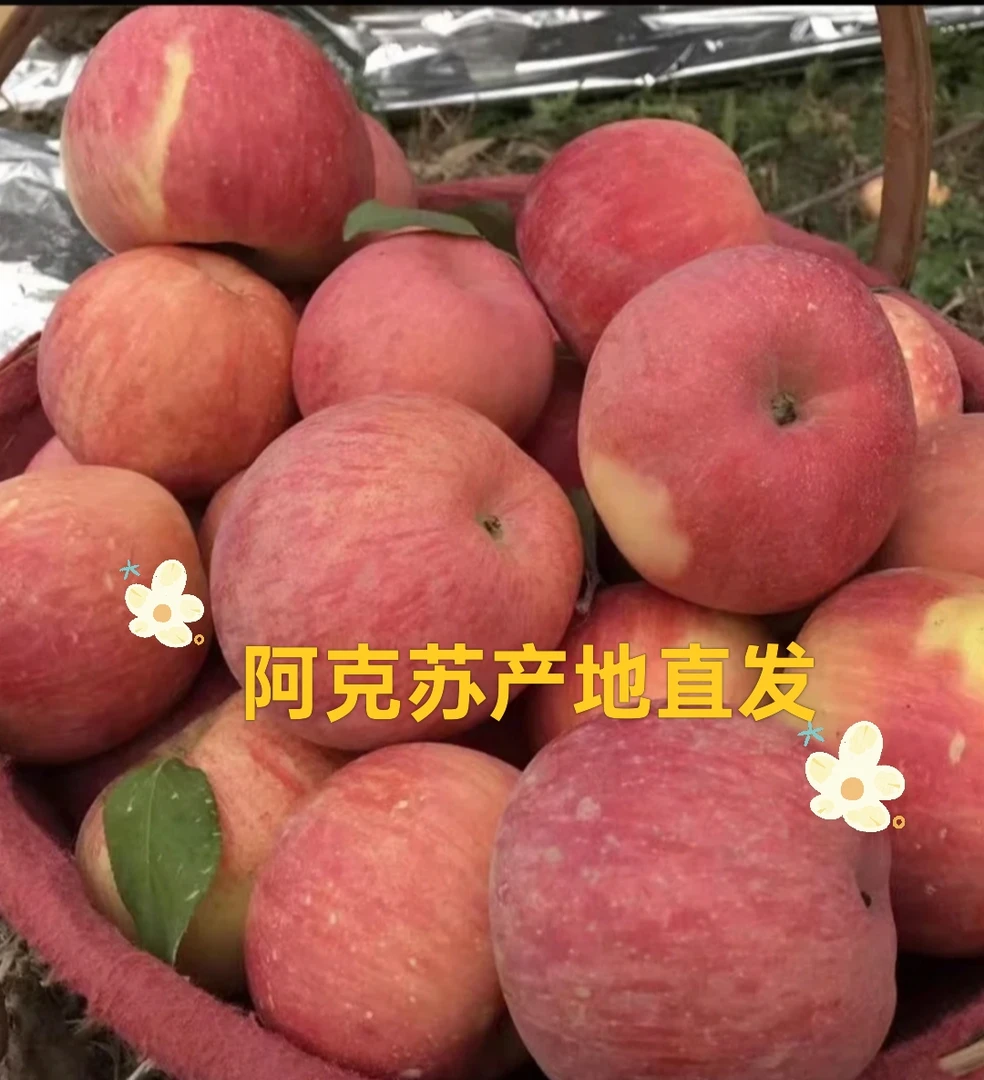 阿克苏早熟富士，现摘现发，产地直发