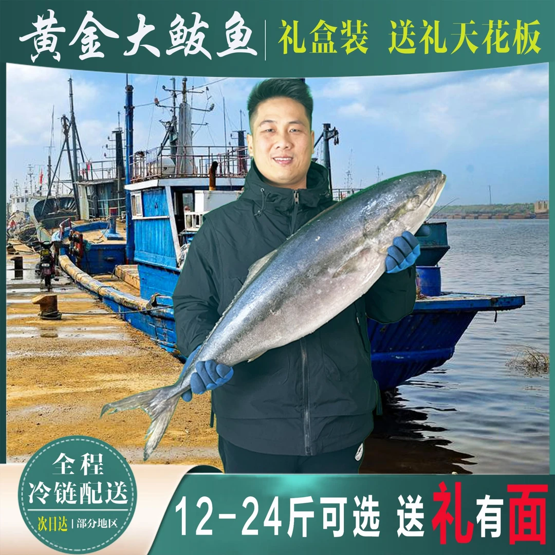 特大黄金鲅鱼13-24斤深海鱼新鲜特产大鲅鱼整条春节送礼盒