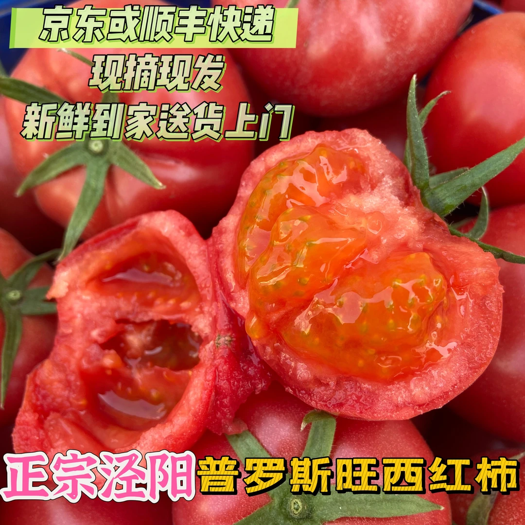 【王江的店】树熟普罗旺斯西红柿