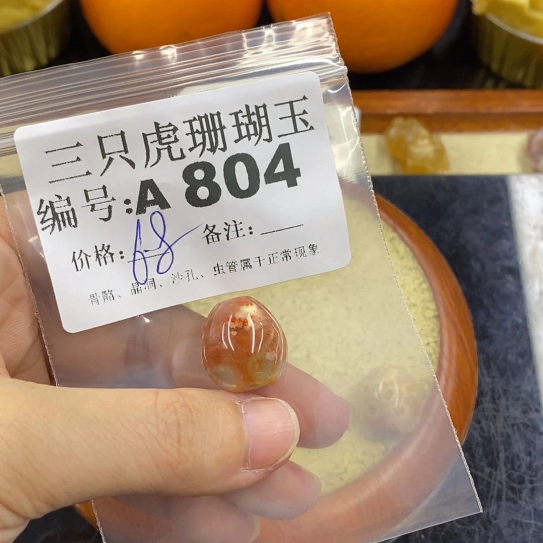 硅化珊瑚（珊瑚玉）1未镶嵌墨*