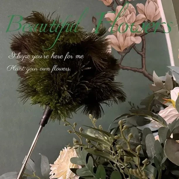 伸缩鸵鸟毛掸除尘扫灰家用鸡毛掸子静电除尘掸灰尘吸附清理神器刷