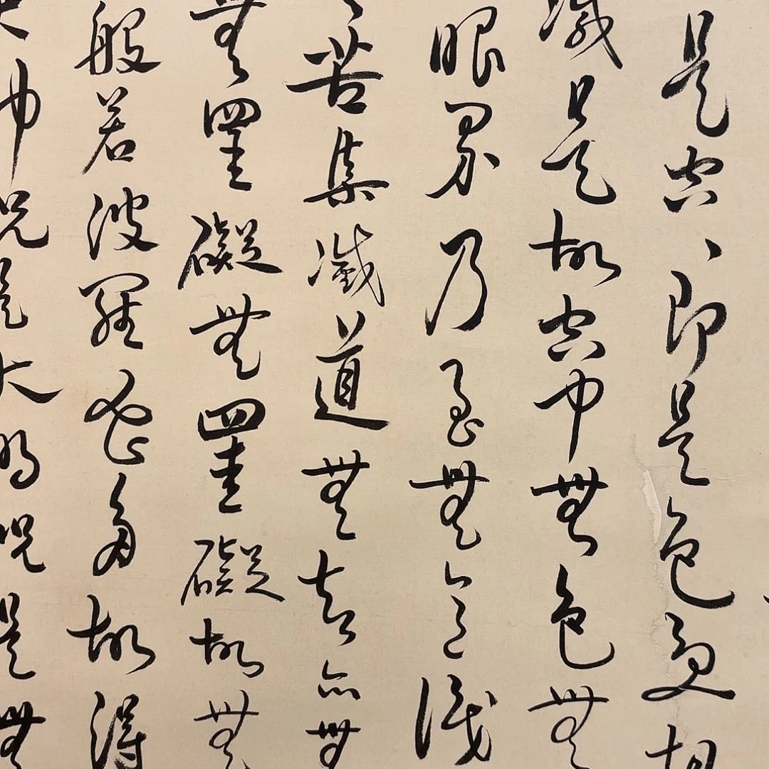 国画66666666666666666