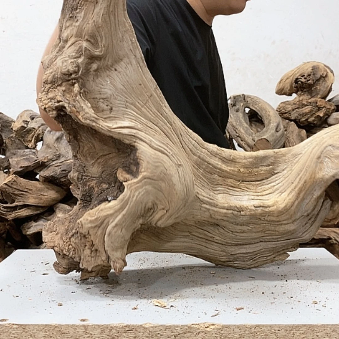 【闪购商品】柏木1***卡我们都是好孩子