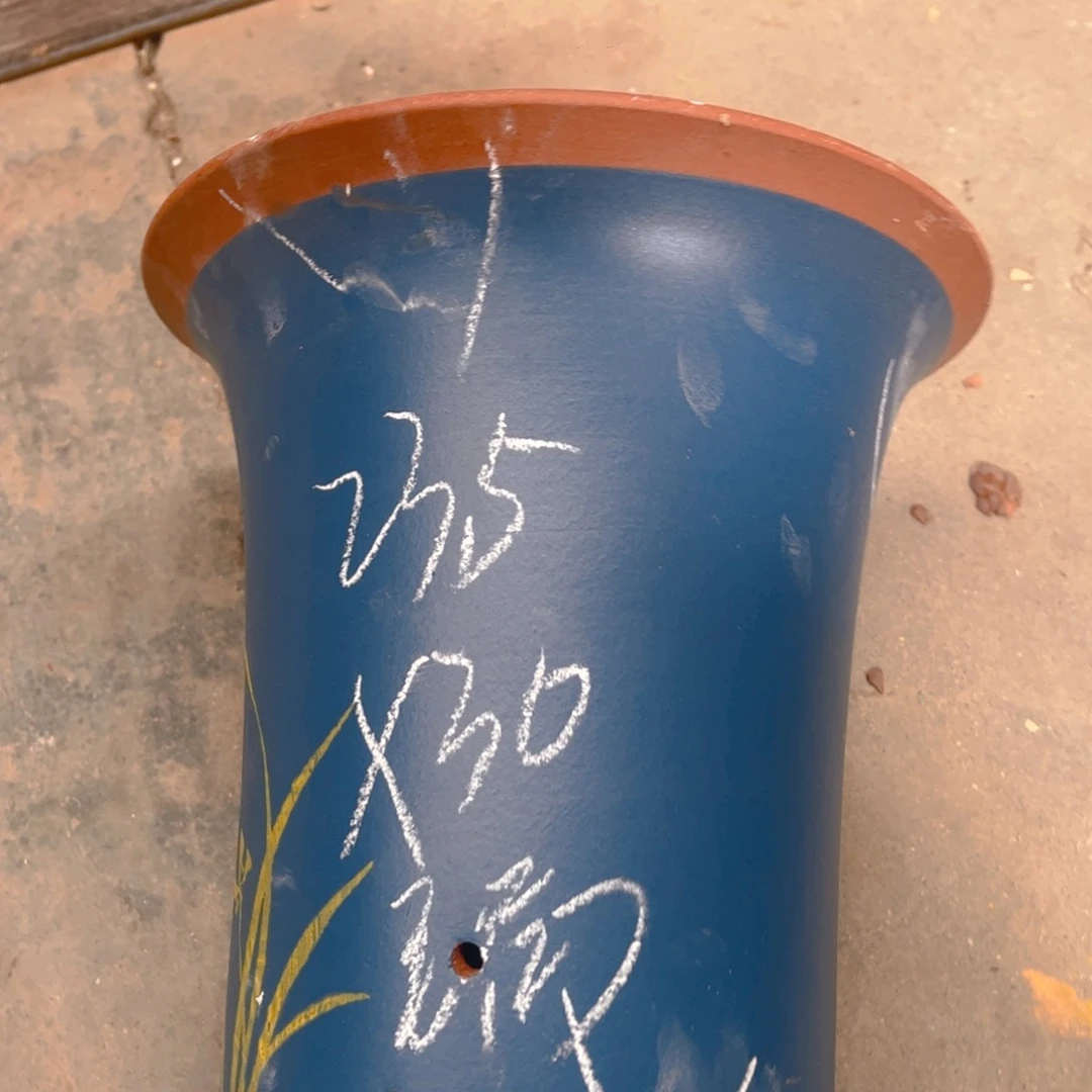 紫砂56……………………………………