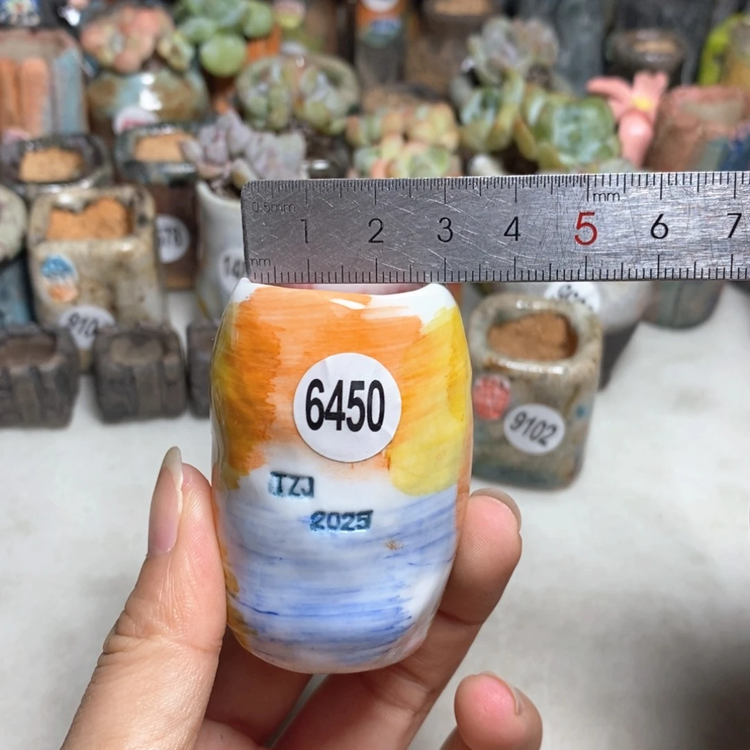 拍3送一个小礼物