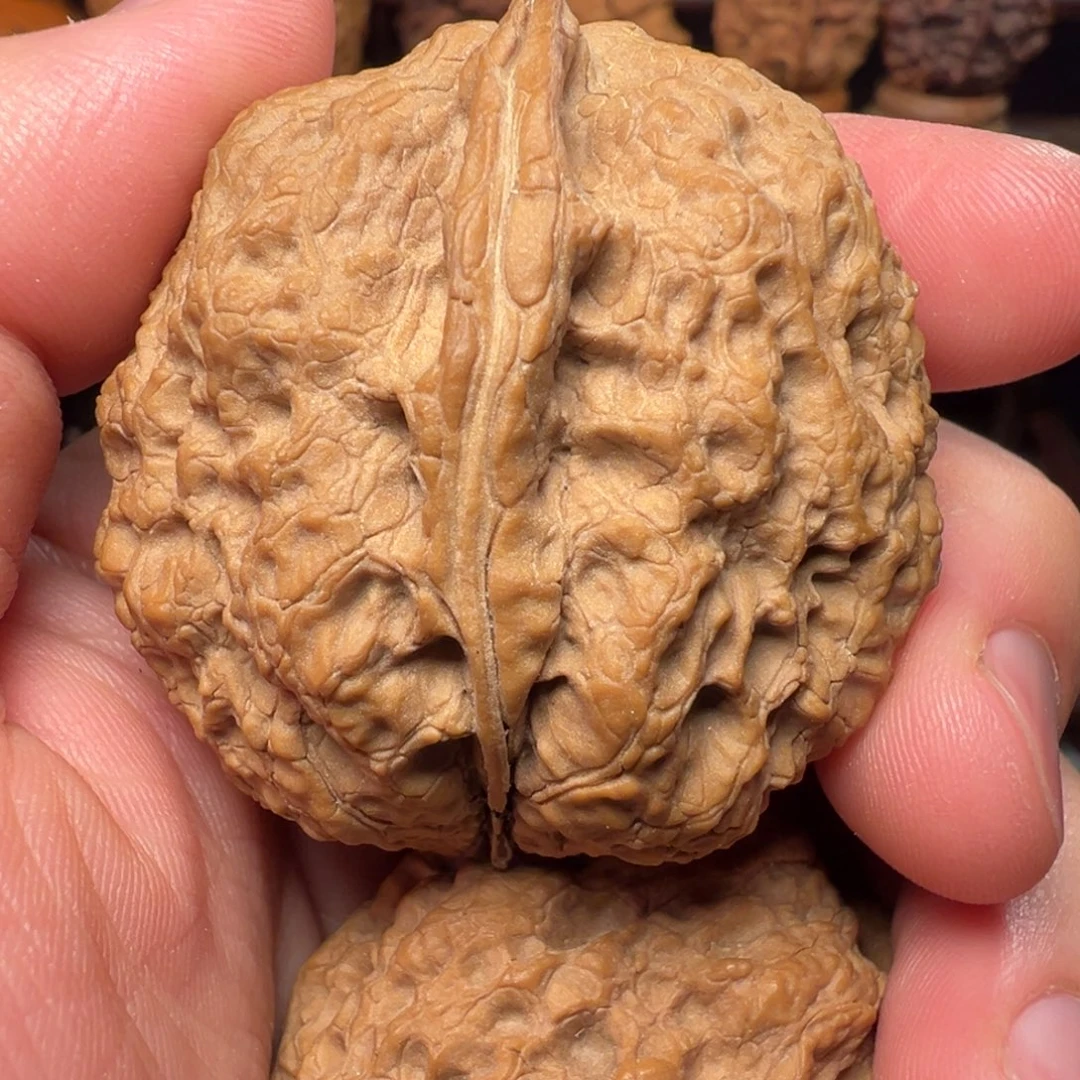 吊坠文玩核桃貔貅金蟾45mm