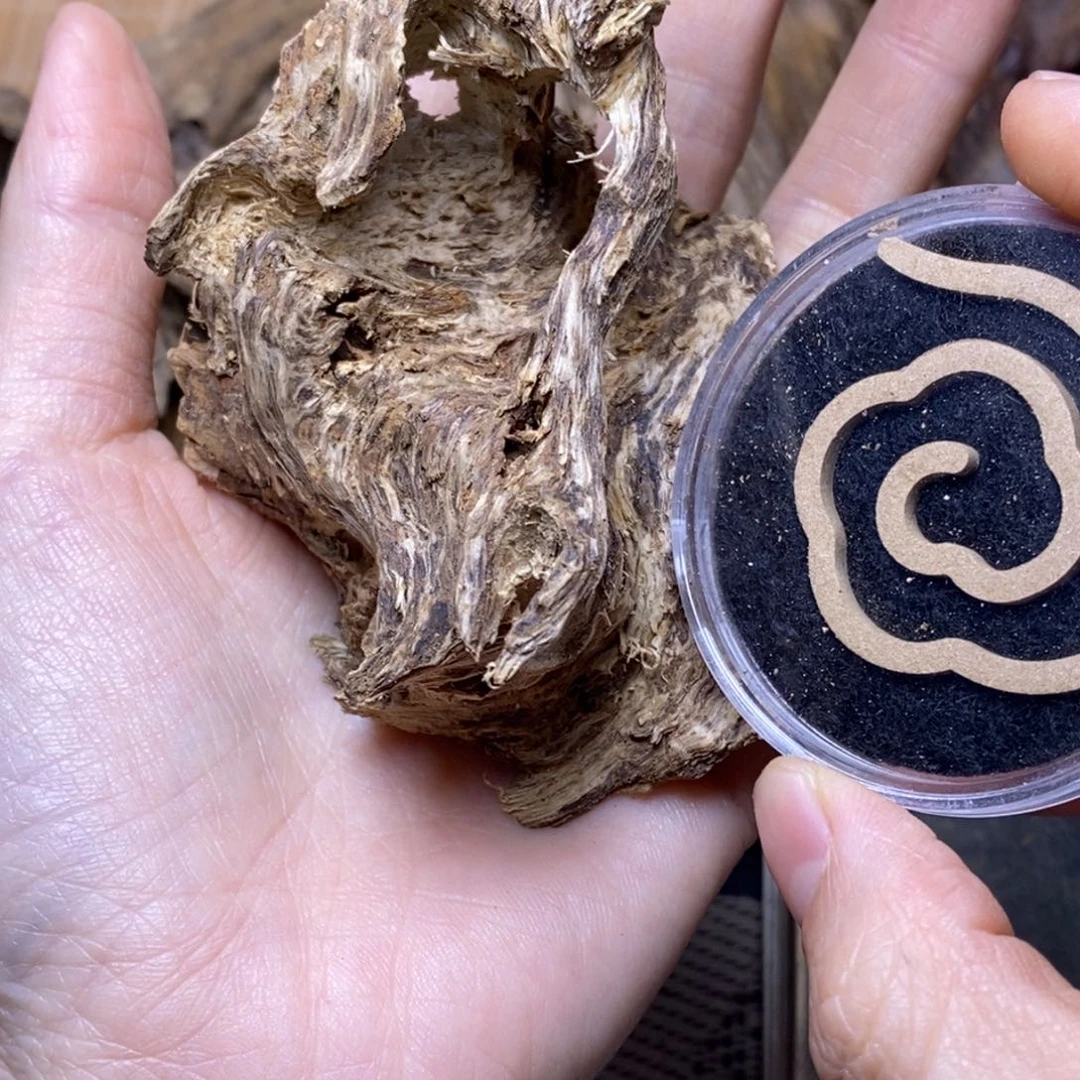 ****员根部22.9克。