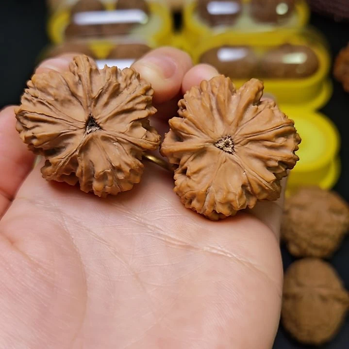 木质类文玩文山正奔2号