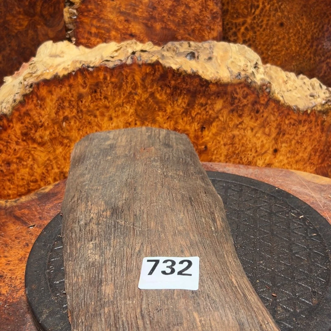 大果紫檀（缅甸花梨）