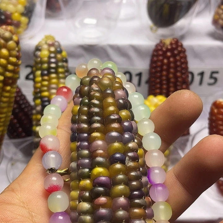 J****树脂制品文玩玉米制品把件