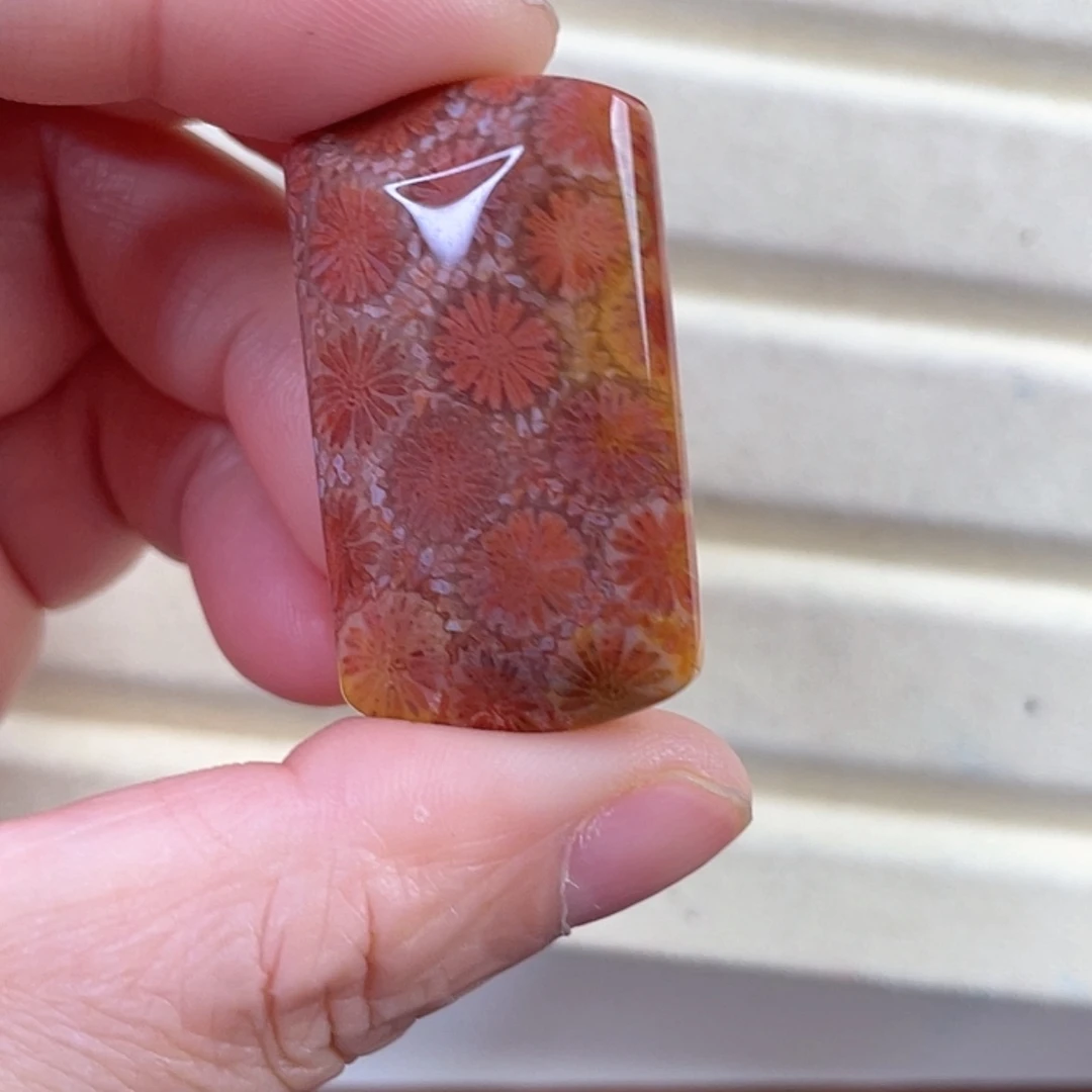【闪购商品】硅化玉吊坠(赠链)未镶嵌可*！