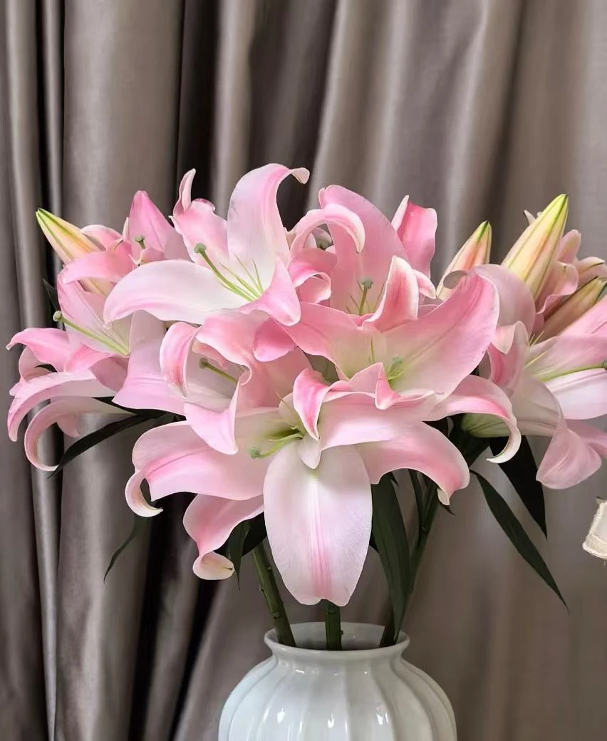 【小王】三头星光粉色色百合 云南鲜花