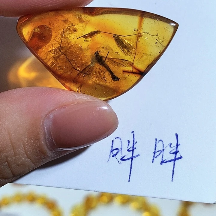 定制琥珀虫珀吊坠