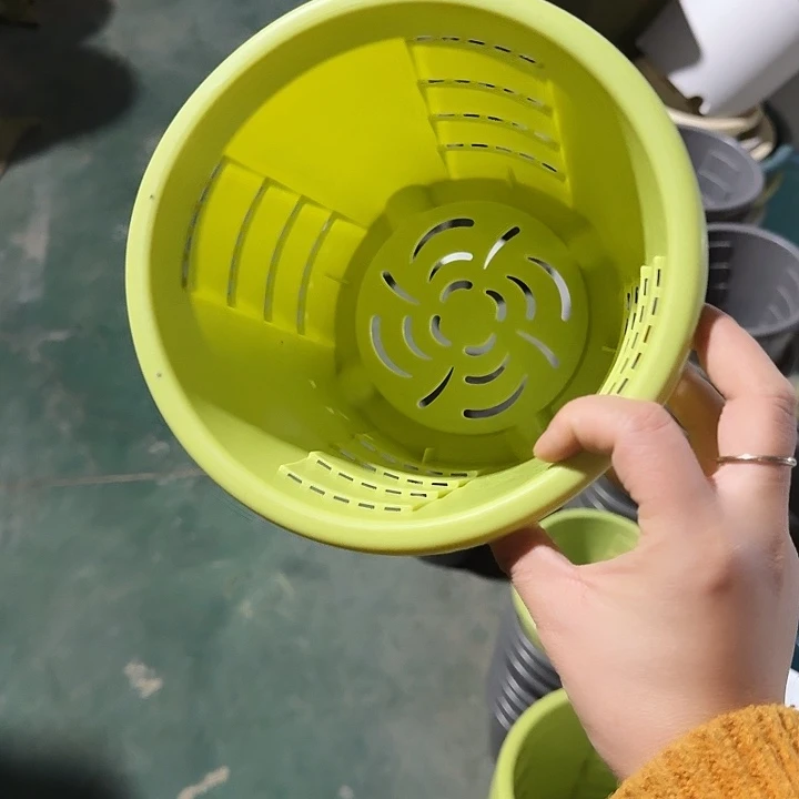 测19口径6个无托果绿