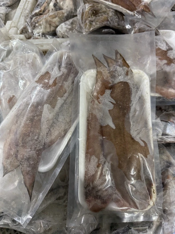 山东日照大毛舌头鱼，5斤顺丰包邮