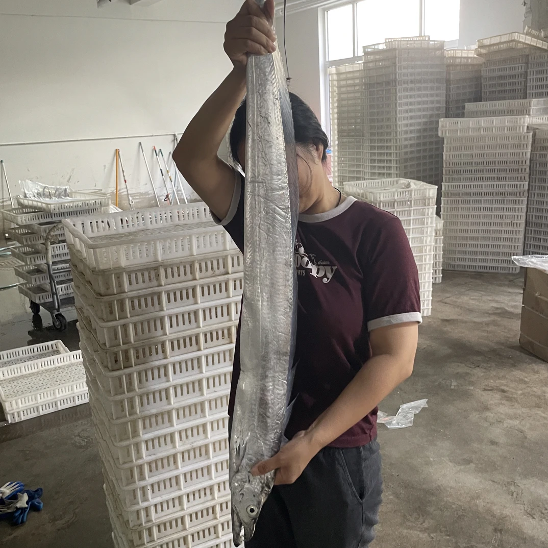 冷水小眼睛油带鱼新鲜速冻超大号整条深海带鱼可蒸可煮4斤4条发货
