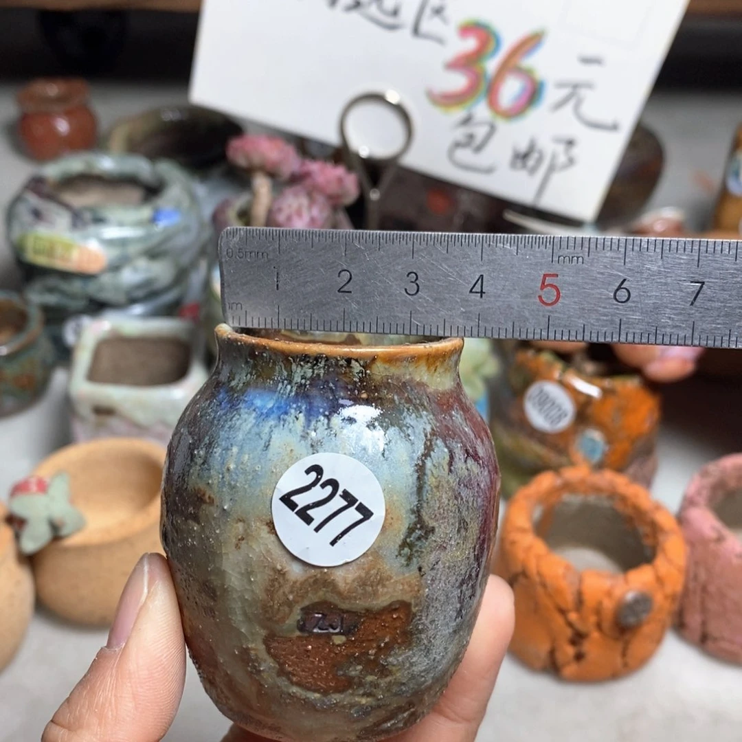 花盆拍5送一个小礼物