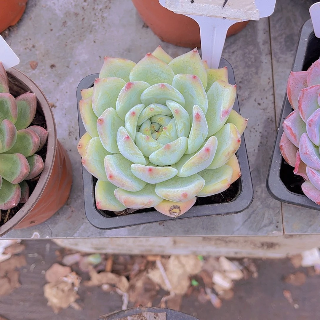 汪***溯00000000000000704