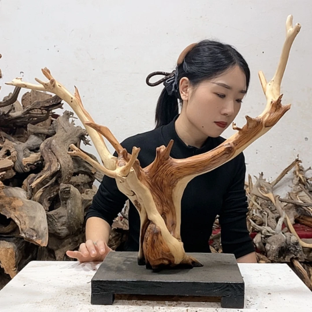 【闪购商品】柏木我****丶我们都是好孩子