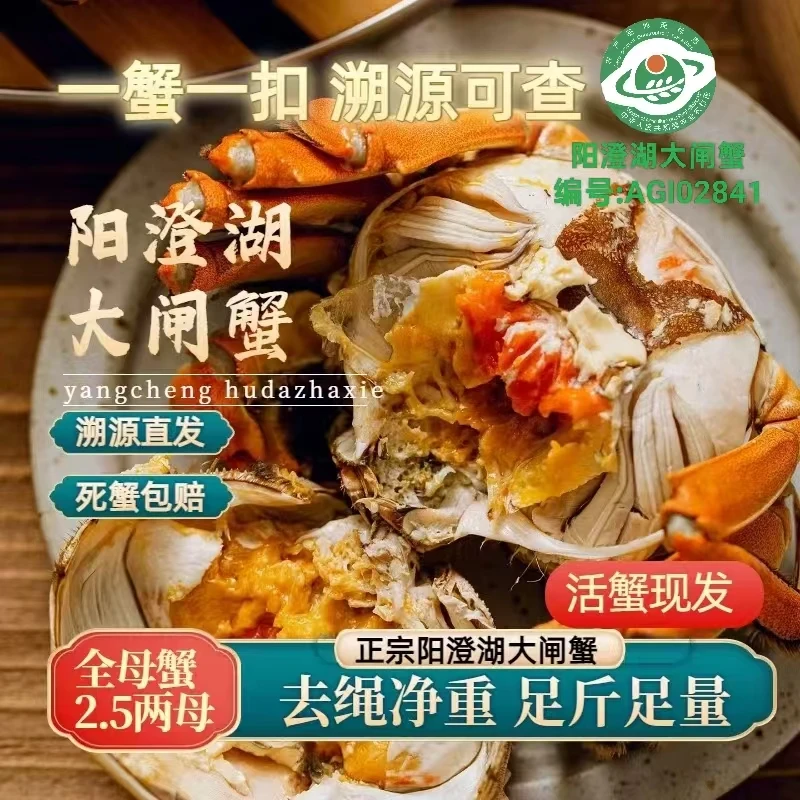 养钳人家【阳澄湖大闸蟹】全母2.5两6只装礼盒塘养