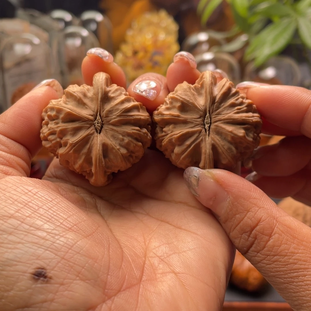 文玩核桃把件白狮子39