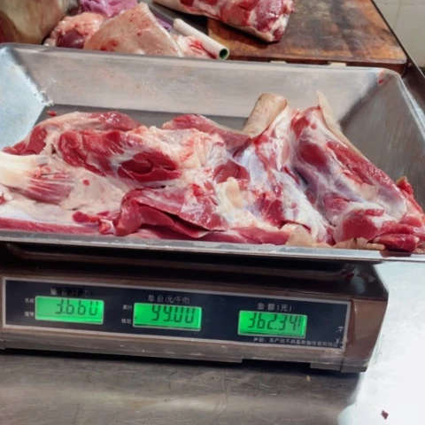 【闪购商品】冷冻保存30天包装河北省星*变