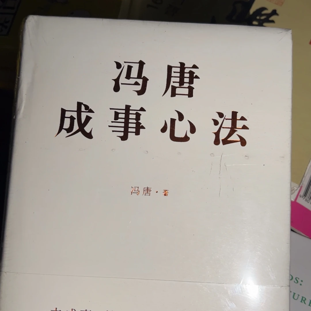 冯唐十四米一个成事心法