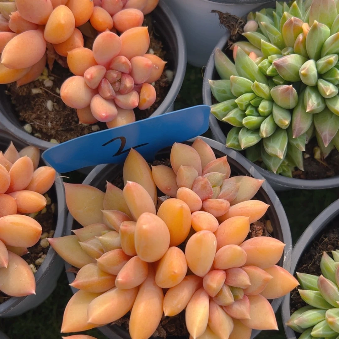 福利来了来了来了