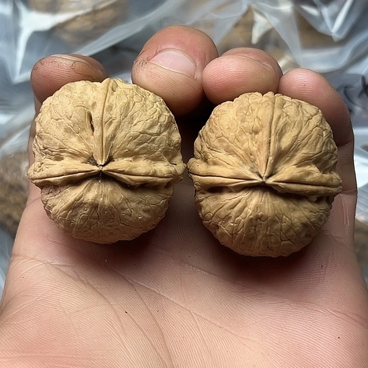 核桃39号莲雾三楞38尺