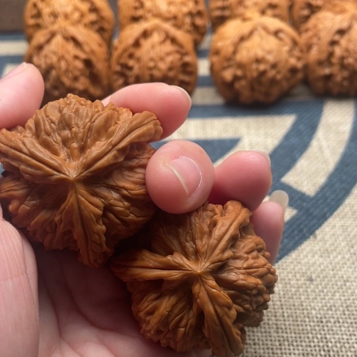 用***1石楠木白狮子41核桃