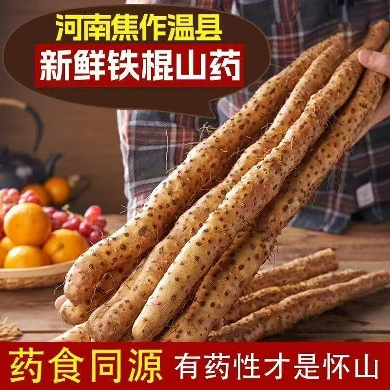 温县垆土地怀山药