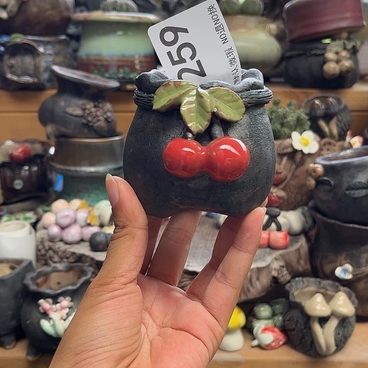 这个时候是真的是一个259