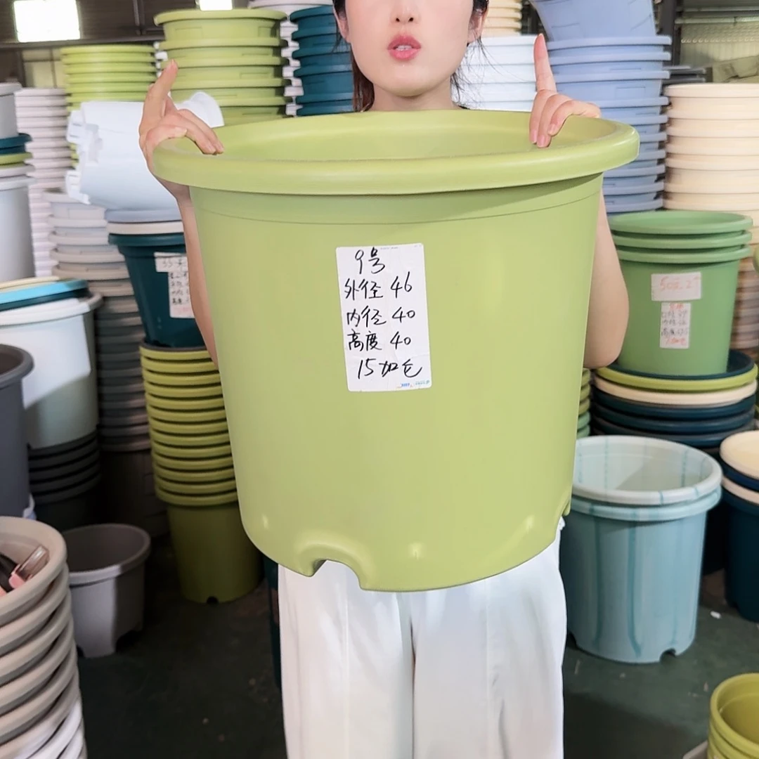 微瑕9#口径无拖果绿3个