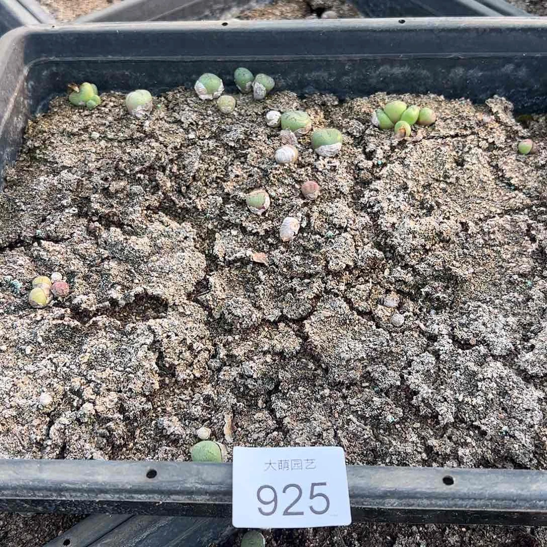 清框脱土发。    925