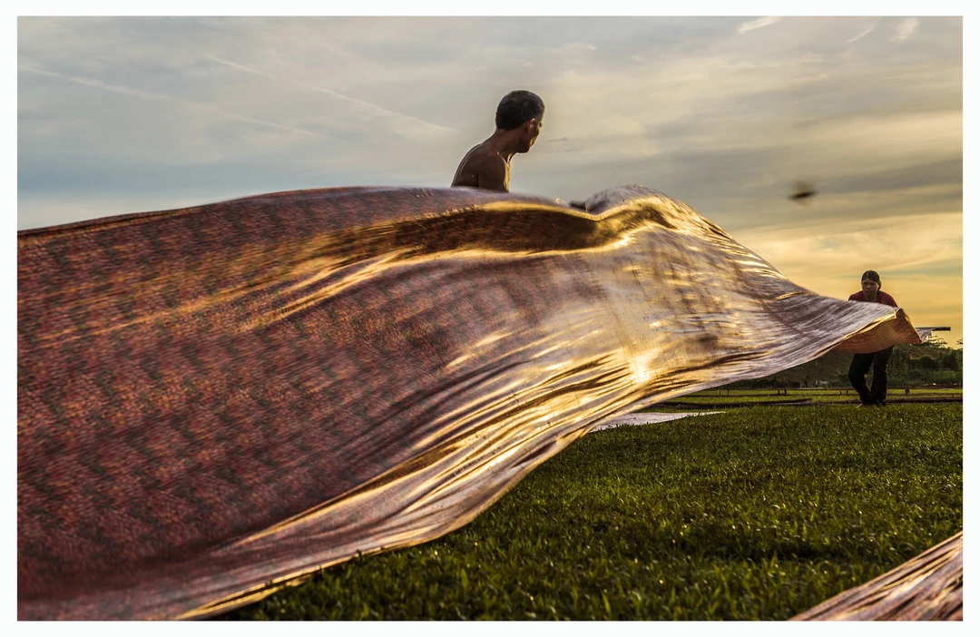 一号车车全品类丝绸真丝新中式国风布料面料